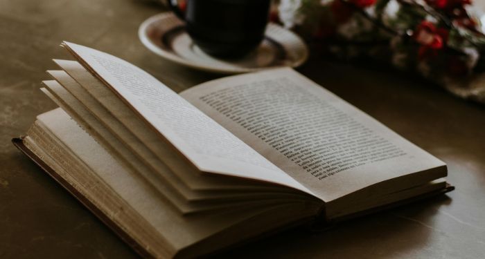 Une œuvre fraîche et succulente de sombre universitaire pour grignoter