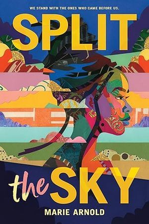 Diviser la couverture du livre Sky