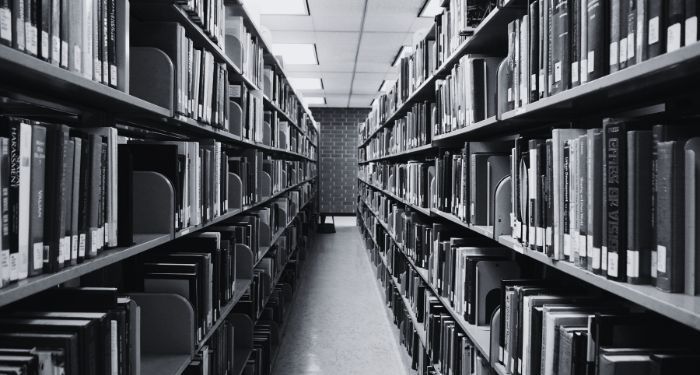 New Book Ban Cibles and Strategies, ainsi que plus de nouvelles de la bibliothèque