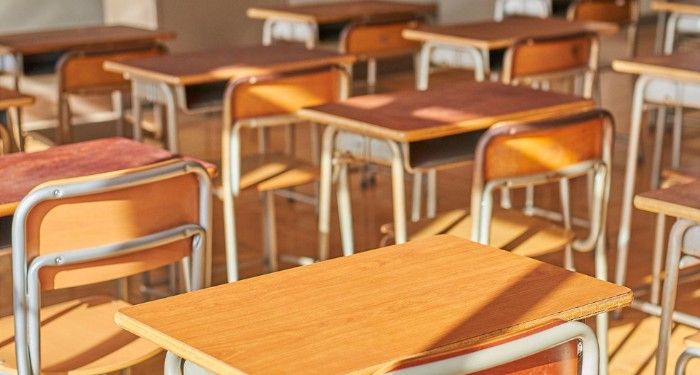 Une chanson d'amour pour les femmes trans et les communautés qu'elles créent