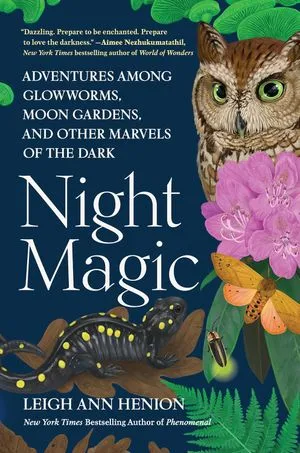 un graphique de la couverture de Night Magic de Leigh Ann Henion