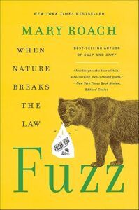 Fuzz : Quand la nature enfreint la loi