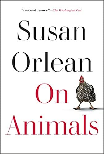 Sur les animaux