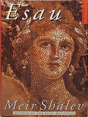 Couverture du livre Esaü de Meir Shalev