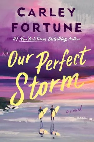 Notre couverture Perfect Storm