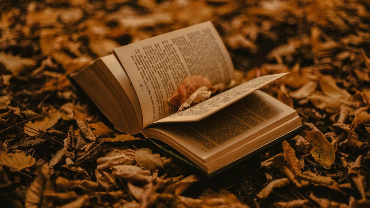 Où trouver des livres épuisés et des éditions difficiles à trouver