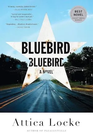 oiseau bleu oiseau bleu