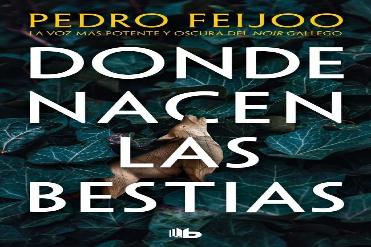 Critique du roman Où naissent les bêtes, de Pedro Feijoo