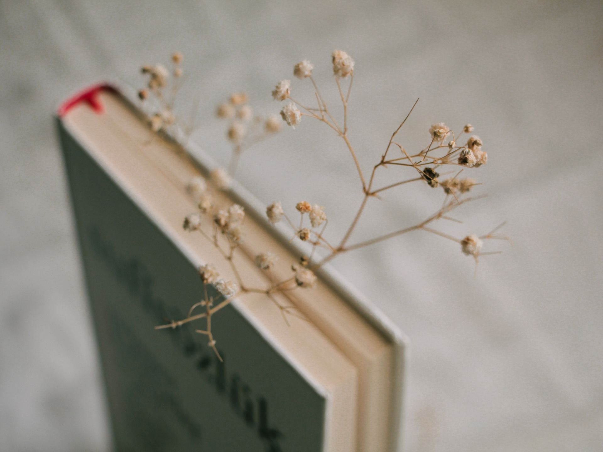 Le plaisir de lire physiquement : accessoires et détails personnalisés pour la bibliothèque de tout amateur de livres