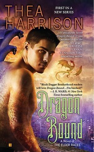 Couverture du livre Dragon lié