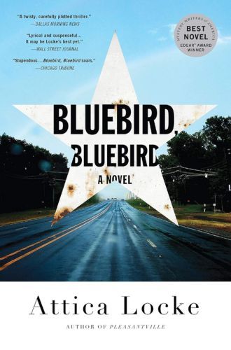 Oiseau bleu, oiseau bleu