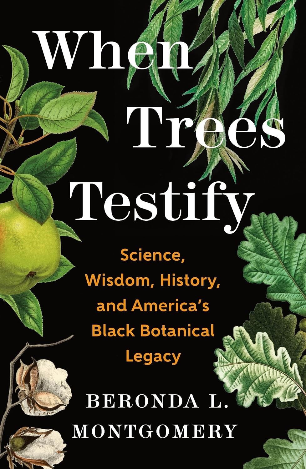 Quand les arbres témoignent