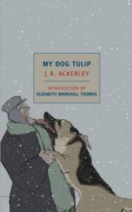 Couverture Mon Chien Tulipe